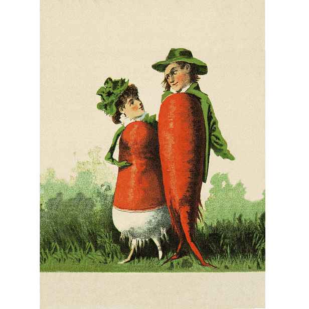 Culina Botanica Variace řep