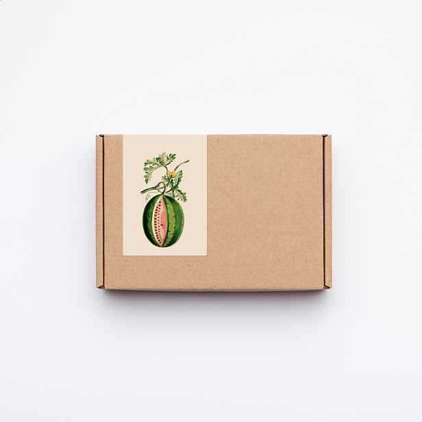 Culina Botanica Variace melounů