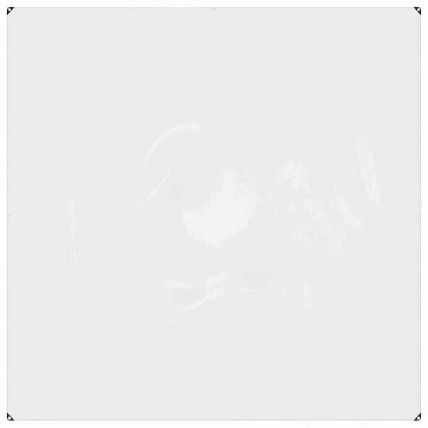 vidaXL Pokrytí rostlin 2 x 2 m PVC Transparentní