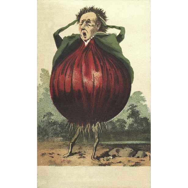 Balení semínek cibulí: cibule jarní Všetana, cibule Štutgardská, cibule Karmen, cibule bílá Lisabon, cibule Rossa di Tropea