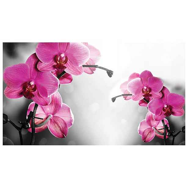 Fototapeta Orchideje růžové květy elegance vinylová 368x254 lepidlo