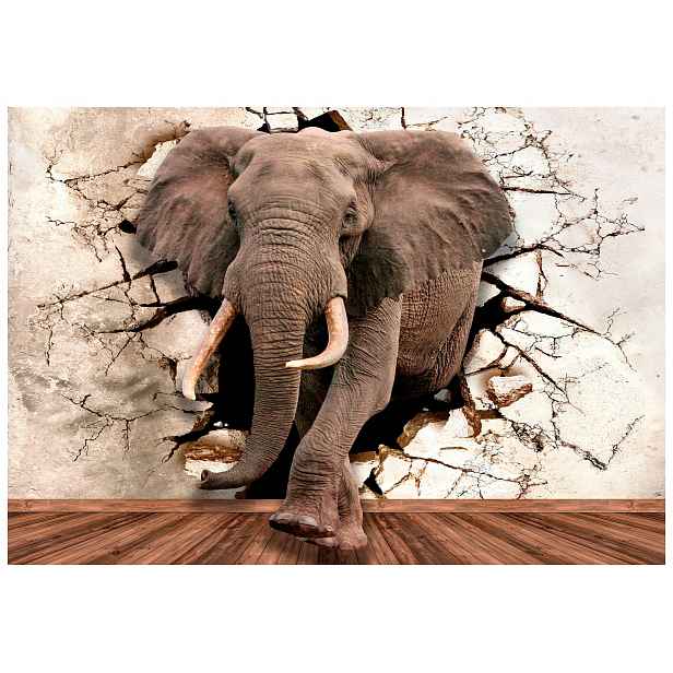 Fototapeta Slon přes zeď 416x290 Realistický africký efekt lepidlo