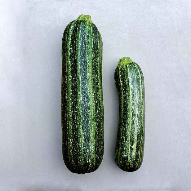 Culina Botanica Cuketa Striato d'Italia
