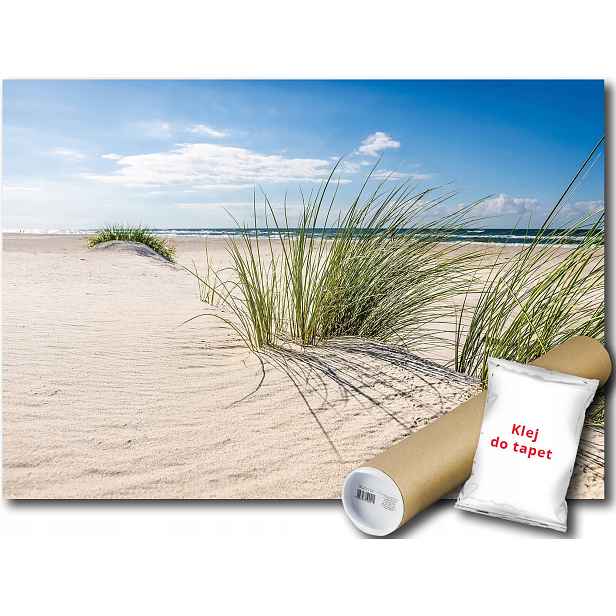 Vinylová Fototapeta Pláž Písek Tráva 152x104