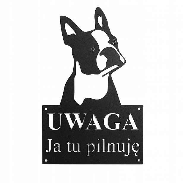 Cedule Pozor Pes Tabule Já tady hlídám Ocel 1,5 mm Grafika P-6