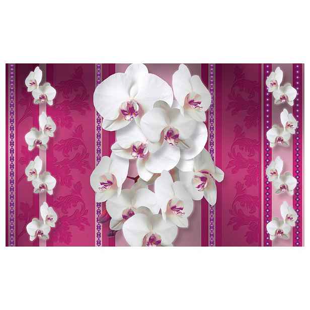 Vliesová fototapeta Růžové orchideje na zeď s květinami 350x250 lepidlo
