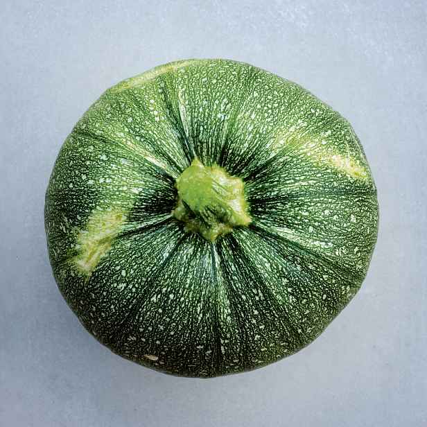 Culina Botanica Cuketa kulatá Tondo Chiaro di Nizza