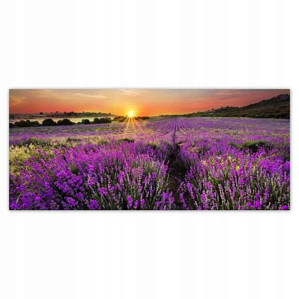 Fototapety flizelina 211x91 Pole levandule Západ