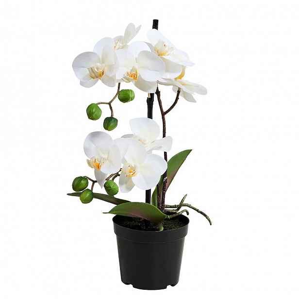 Butlers FLORISTA Orchidej v květináči 35 cm - bílá