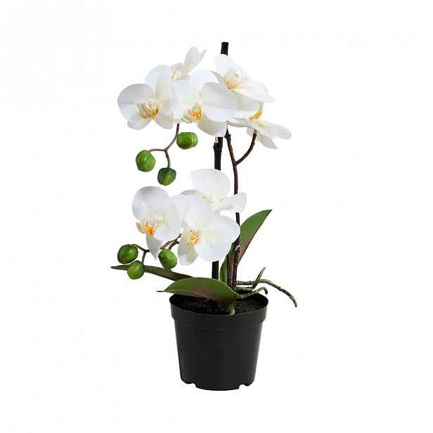 Butlers FLORISTA Orchidej v květináči 35 cm - bílá