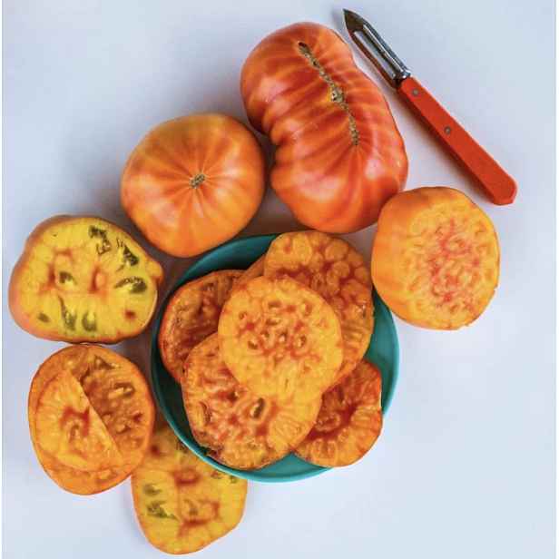 Culina Botanica Rajče German Gold