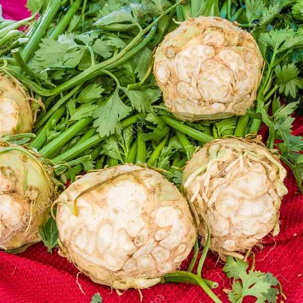 Culina Botanica Celer bulvový Bianco del Veneto