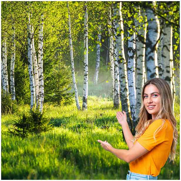Fototapeta 3D Obývací Pokoj Ložnice Bříza Les Stromy 196x260 BLD04F
