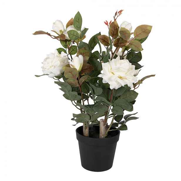 Dekorační květina růže v květináči s bílými květy Rose white - 20*20*55 cm Clayre & Eef