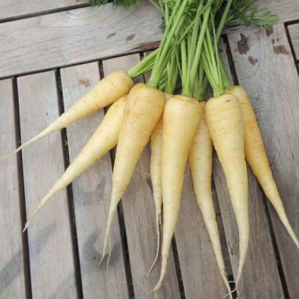 Culina Botanica Mrkev Maruška
