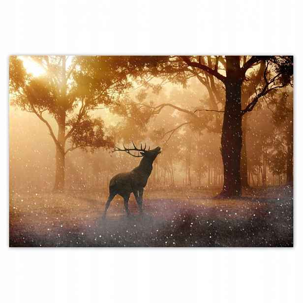 Plakáty 185x125 Jelen v lese