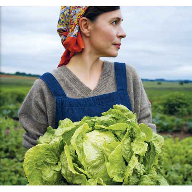 Culina Botanica Salát hlávkový Zlatý tenisák