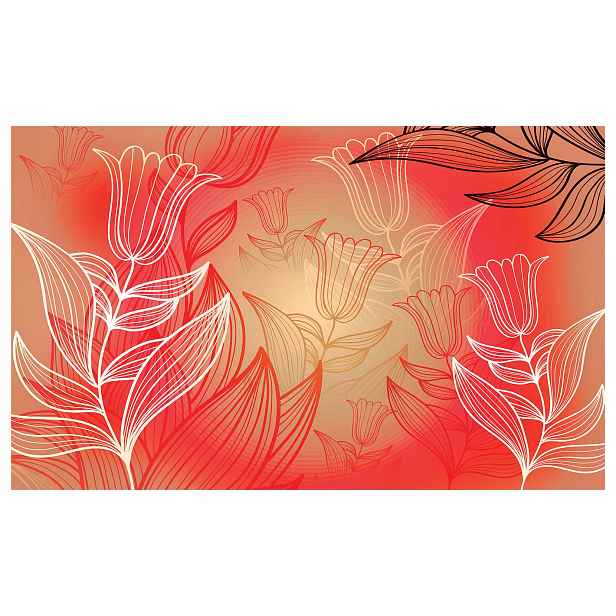 Fototapeta Elegantní Tulipány červeno-bílé obrysy jaro 312x219 lepidlo