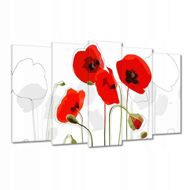 Obrazy 100x60 Červené máky Květina