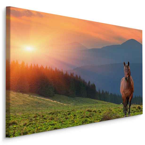 MyBestHome BOX Plátno Kůň Na Pozadí Západu Slunce Varianta: 30x20
