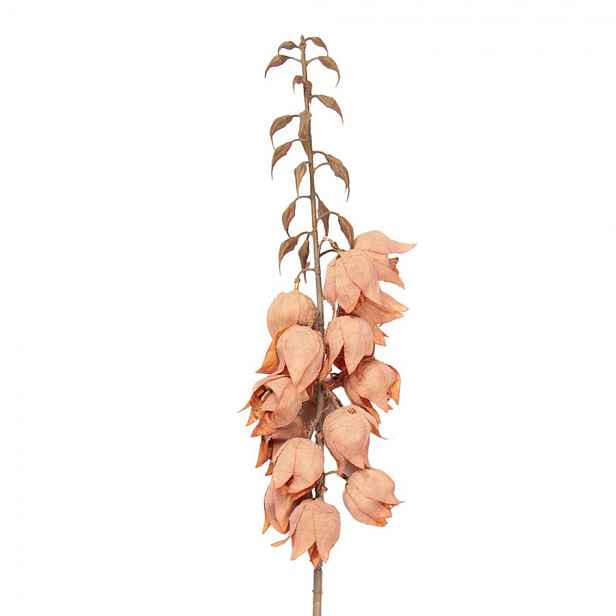 Dekorace umělá květina Yucca s oranžovými květy - 12*12*100 cm Clayre & Eef