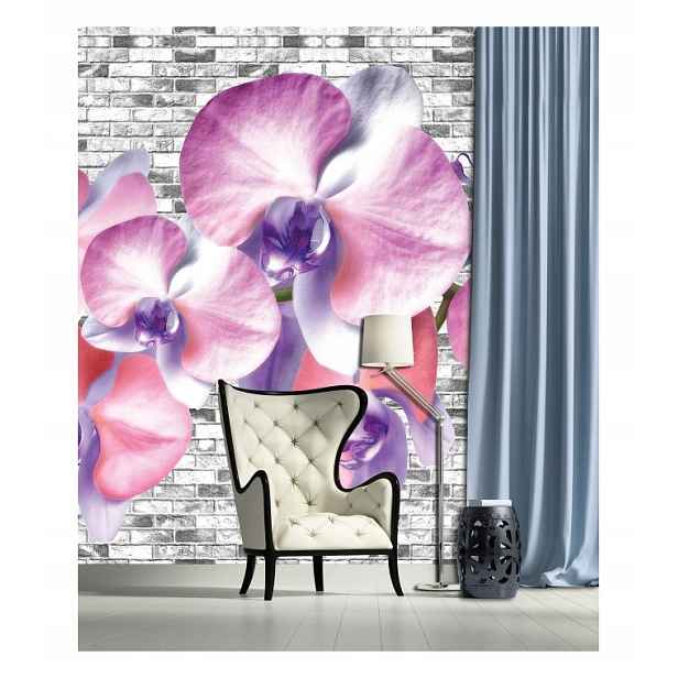 Fototapeta Orchideje na cihlové zdi vinylová 184x254 lepidlo