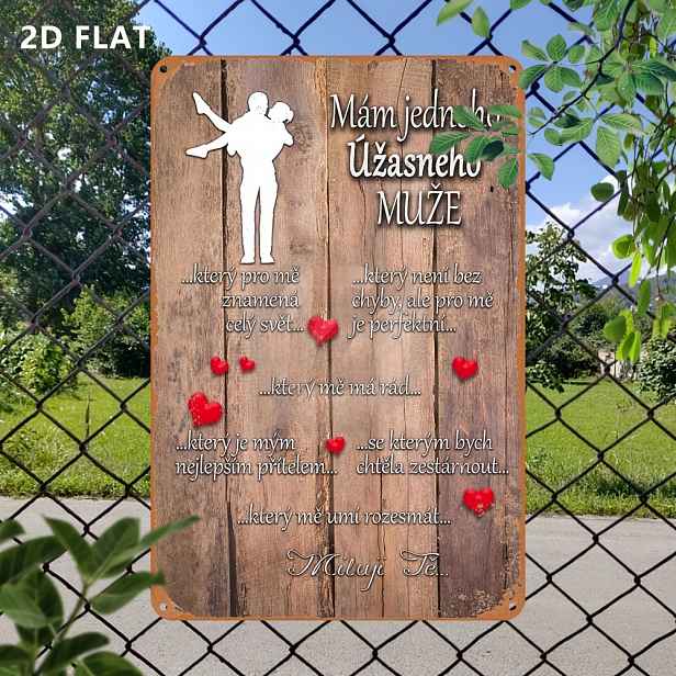 TEMU 2D Plochý, 1 ks 2D Plochý Vintage Kovový Hliníkový Znak, Hliníkový Obraz, Vintage Nástěnné Umění, Dekorace do Garáže, 12x8 Palců, Nástěnná