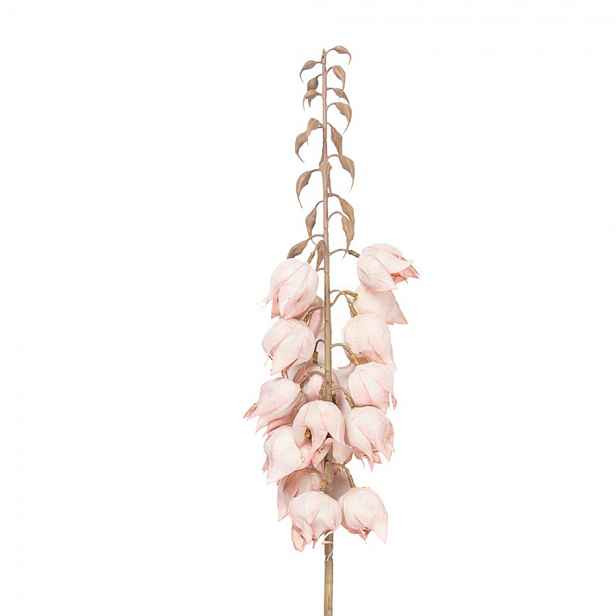 Dekorace umělá květina Yucca s růžovými květy - 12*12*100 cm Clayre & Eef