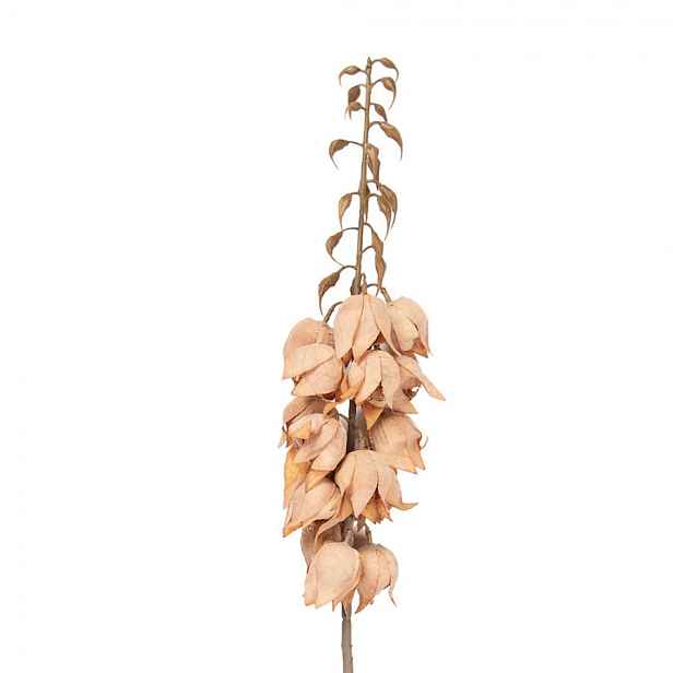 Dekorace umělá květina Yucca s lososovými květy - 12*12*100 cm Clayre & Eef