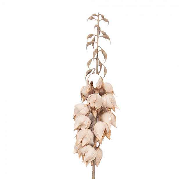 Dekorace umělá květina Yucca s béžovými květy - 12*12*100 cm Clayre & Eef