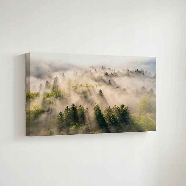 Obraz na plátně Les v mlze, moderní dekorace na zeď, 70x50 cm