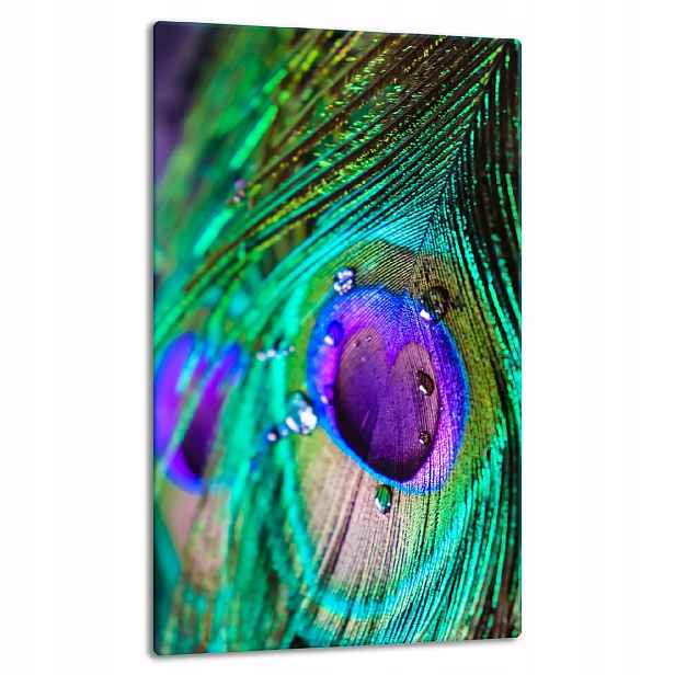 7v1 Skleněná Deska Panel Deska 30x52 Pero