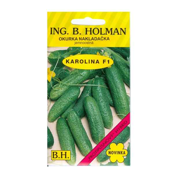 Holman Okurka nakládačka Karolina F1