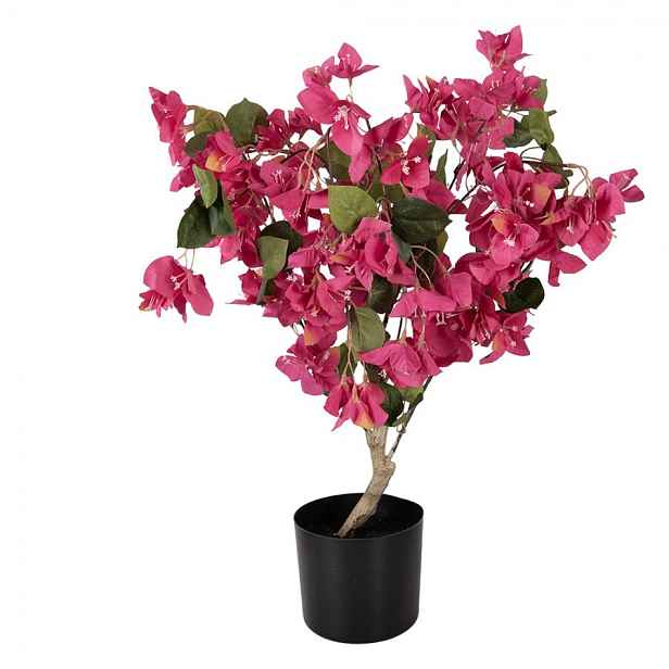 Stromek s růžovými květy Bougainvillea Tree - 30*30*90 cm Clayre & Eef