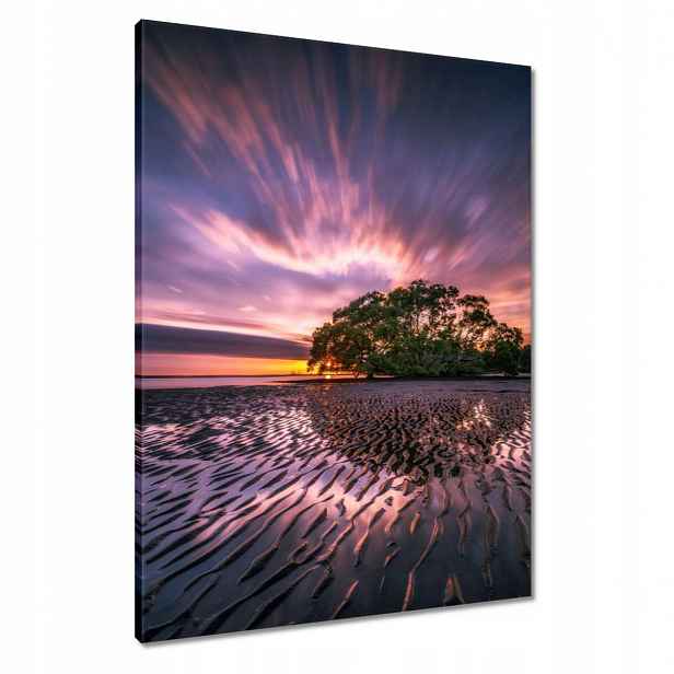 Obrazy 60x80 Krásná fialová krajina