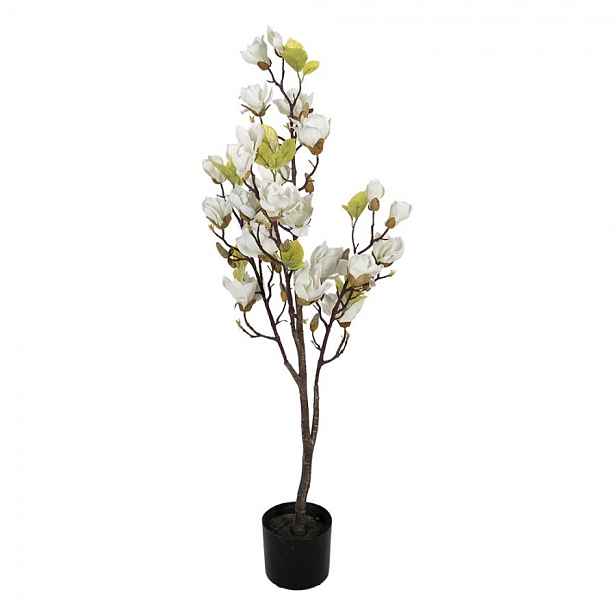 Dekorační stromek Magnolia s bílými květy - 20*15*120 cm Clayre & Eef