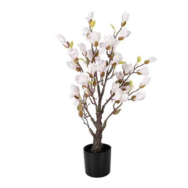 Dekorační stromek Magnolia s narůžovělými květy - 20*20*75 cm Clayre & Eef