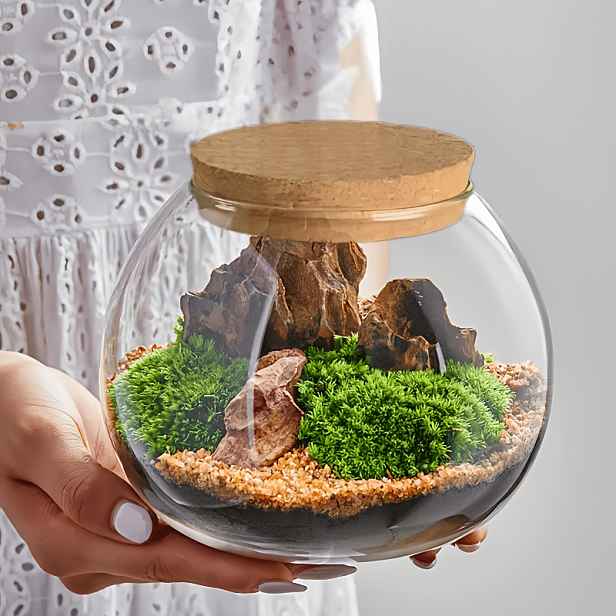 TEMU Bohémská skleněná nádoba s korkovou zátkou - 15 cm široká oválná dekorativní láhev vhodná mikrokrajinky, terária, dekorace, vystavení rostlin,