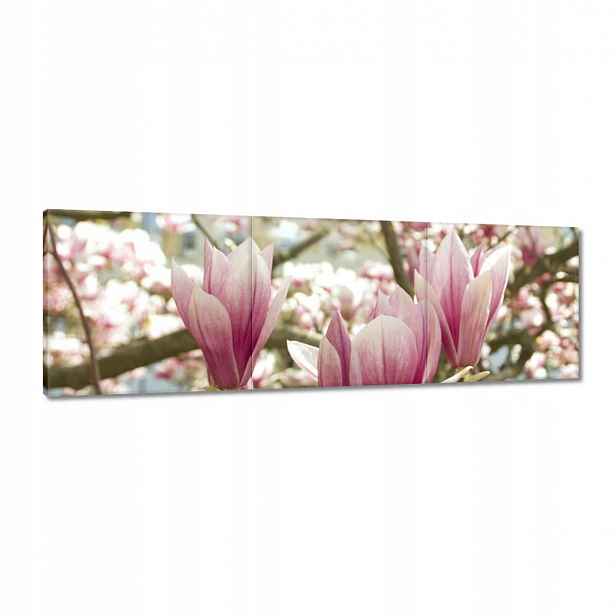 Obrazy 120x40 Magnolie