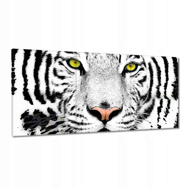 Obrazy 180x90 Hlava tygra Bengálský tygr bílý Tiger