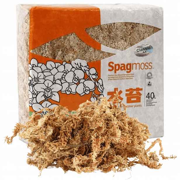 Mech Sphagnum Rašelinový Besgrow 40L Spagmoss Classic 500G substrát pH 4,8