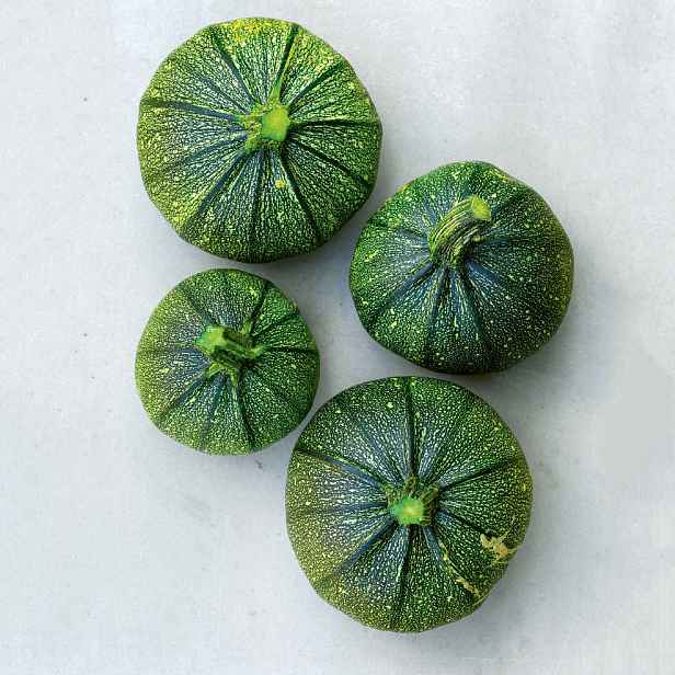 Culina Botanica Cuketa kulatá Tondo di Piacenza