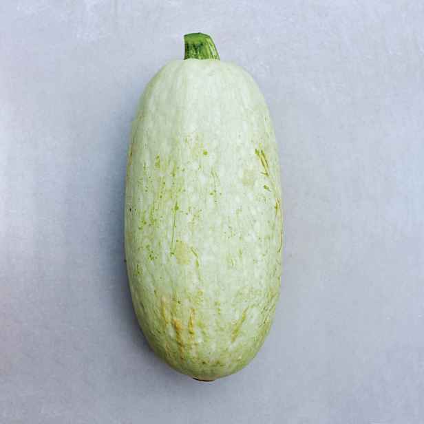 Culina Botanica Cuketa Bianca di Trieste