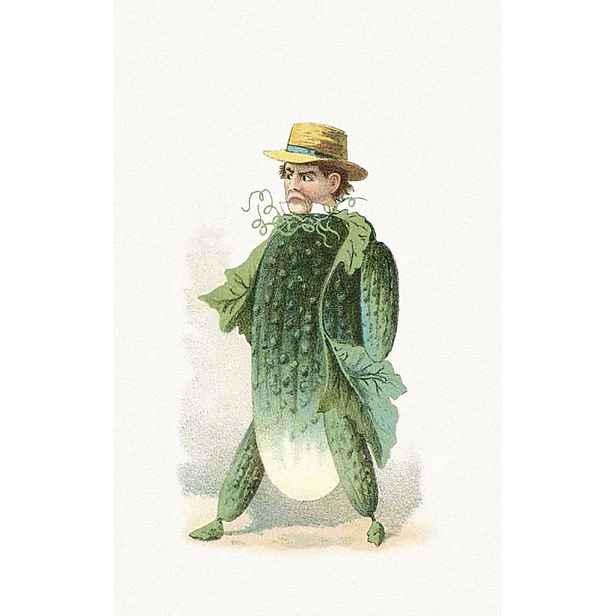 Culina Botanica Variace okurek