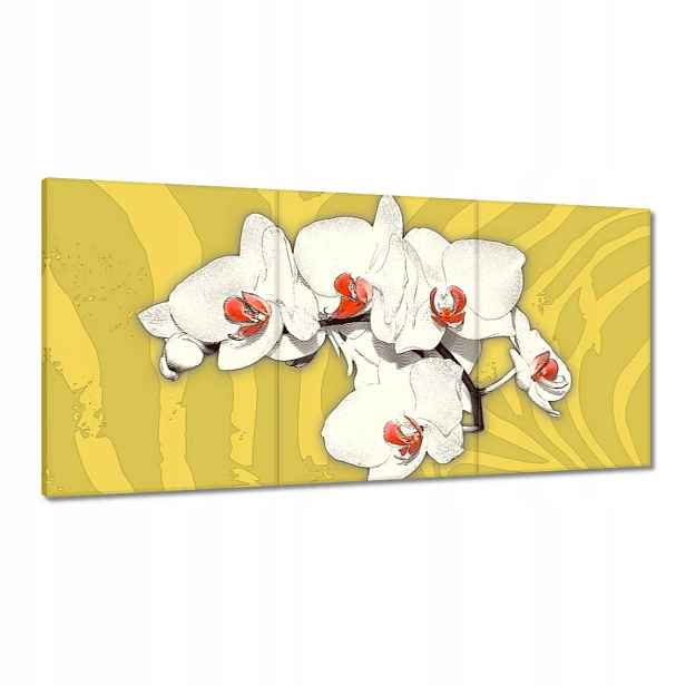 Obrazy 180x90 Orchidej Květiny na žlutém pozadí