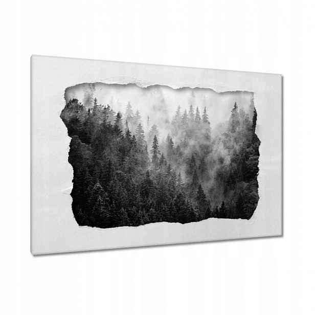 Obrazy 120x80 Krajina Šedá Hory Mlha