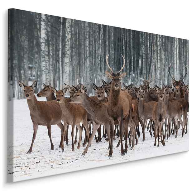 MyBestHome BOX Plátno Jelen Mezi Laněmi Varianta: 90x60