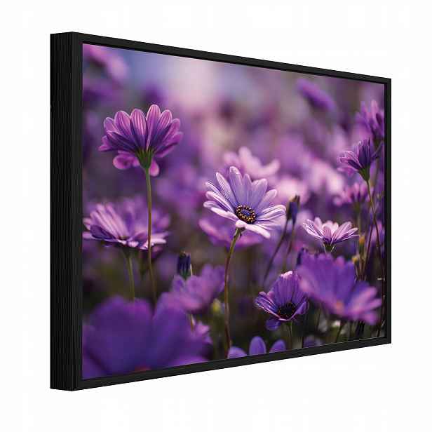 Obraz V Černém Rámu Na Plátně Polní Květiny Příroda Obývací Pokoj Ložnice 100x70