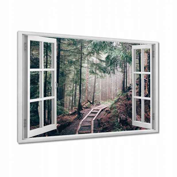 Obrazy 120x80 Lesní cesta