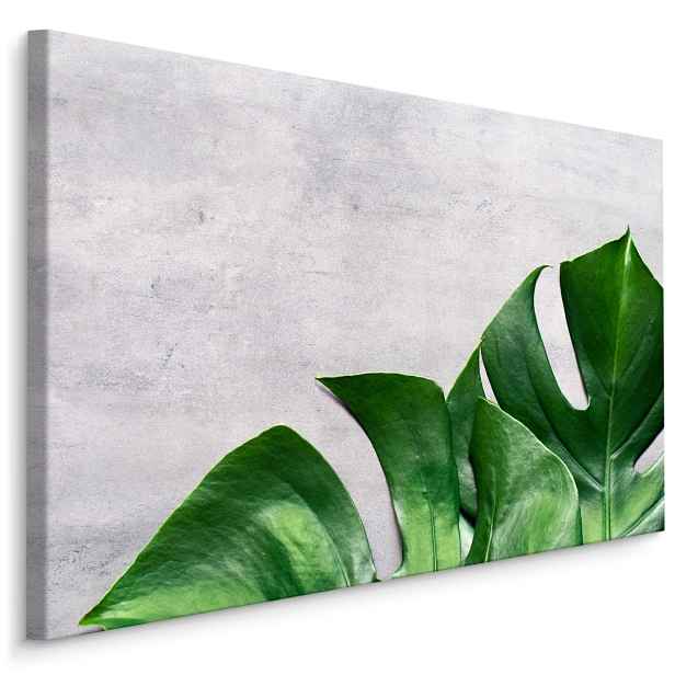 MyBestHome BOX Plátno Monstera Listy Na Betonovém Pozadí Varianta: 40x30